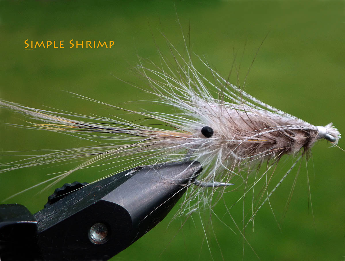 Simple Shrimp
